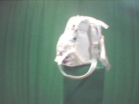 270 Degrees _ Picture 9 _ White Floral Design Backpack.png